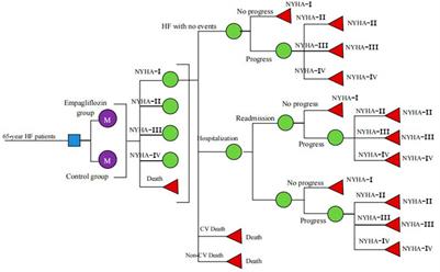 Cost-utility analysis of empagliflozin in heart failure patients with reduced and preserved ejection fraction in China